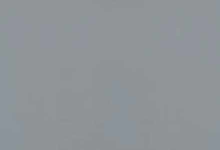Линолеум Forbo Sportline standart 4502 grey